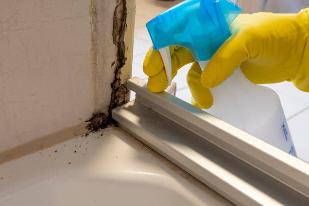 Crawl Space Mold Removal in Derby, CT