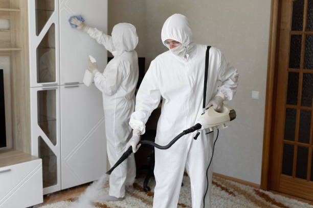 Best Toxic Mold Removal  in Derby, CT